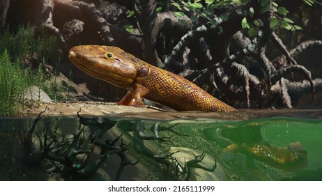 Tiktaalik, extinct walking fish, the evolution of four-legged animals (3d science rendering) 