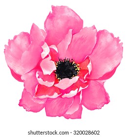 19,860 Coral watercolor flowers Images, Stock Photos & Vectors ...