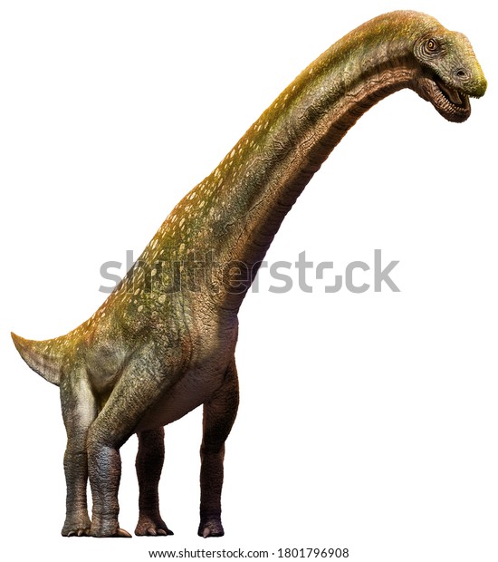 Titanosaurus Cretaceous Era 3d Illustration Stock Illustration ...