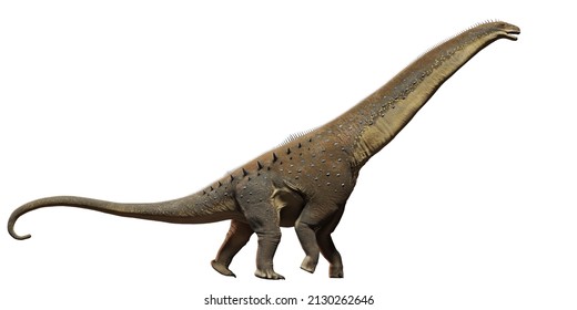 21,156 Cretaceous animal Images, Stock Photos & Vectors | Shutterstock