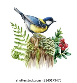 Titmouse bird on the mossy stump. Forest nature image. Watercolor illustration. Hand drawn wildlife scene. Great tit on the tree stump, berries, fern, wild herbs. Forest rustic wildlife element
