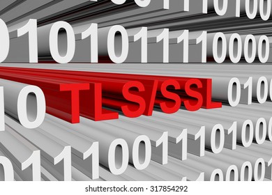 tls/ssl are presented in the form of binary code 3d illustration