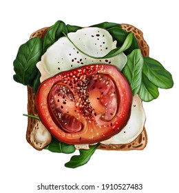 Toast with tomatoes, spinach and eggs. Illustration for menu, cookbook, sticker and so on. - Powered by Shutterstock