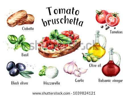 Tomato bruschetta ingredients. Watercolor hand drawn illustration, isolated on white background