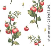 Tomato plant seamless pattern. Stem with red fruit, green leaves and yellow flowers Watercolor botanical agricultural ripe, unripe vegetables crop. Realistic hand drawn illustration isolated fabric