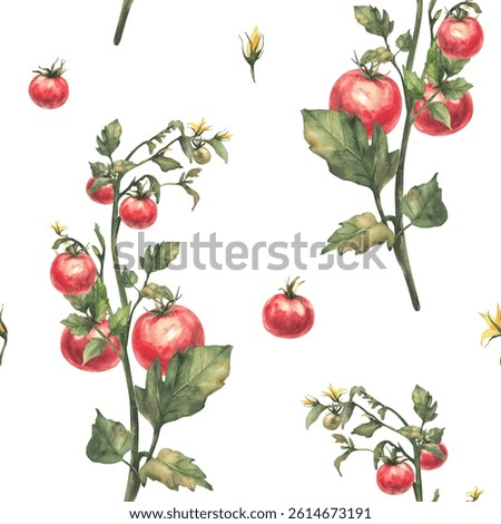 Tomato plant seamless pattern. Stem with red fruit, green leaves and yellow flowers Watercolor botanical agricultural ripe, unripe vegetables crop. Realistic hand drawn illustration isolated fabric