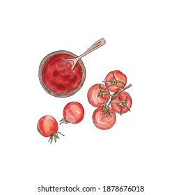 Tomato And Tomato Sauce And Ketchup Illustration Made By Digital Drawing