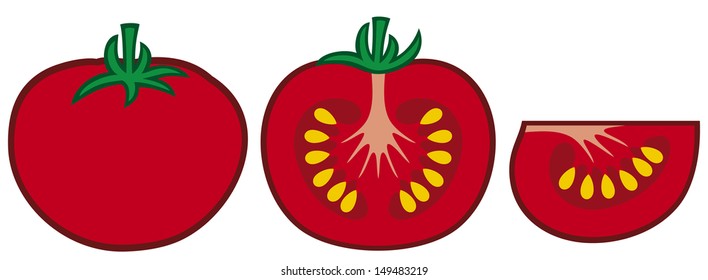 Tomato Segment Slice Stock Illustration 149483219 | Shutterstock