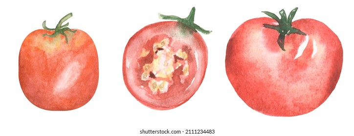 Tomato Vegetables Clipart, Watercolor Tomato Slice Illustration Set, Healthy Food Clip Art, Organic Kitchen Clipart, Garden Plants, Culinary Print Art