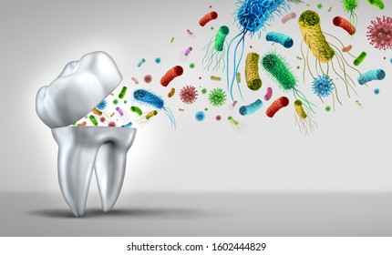 Tooth Germs Teeth Bacteria Cavities Dental Stock Illustration ...