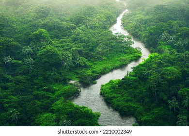 Top Down Aerial View Of A Lush With River Amazon Stream Forest From Above Drone Deciduous Flora Outdoor Scene Summer Leafy From The Air Scene  3d Illustration