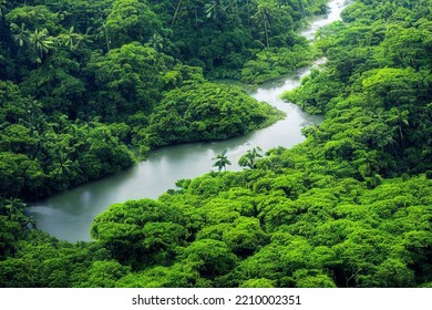 Top Down Aerial View Of A Lush With River Amazon Stream Forest From Above Drone Deciduous Flora Outdoor Scene Summer Leafy From The Air Scene  3d Illustration