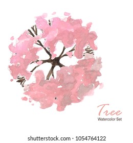 Top Tree Watercolor Spring Set Pink  Sakura Tree Spring Isolated On White Background ; Illustration Top View Tree Watercolour Landscape Architecture 