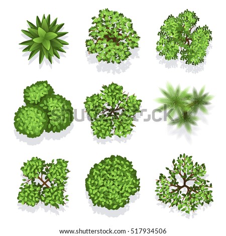 Similar – Image, Stock Photo View to the tree tops of the coastal fir