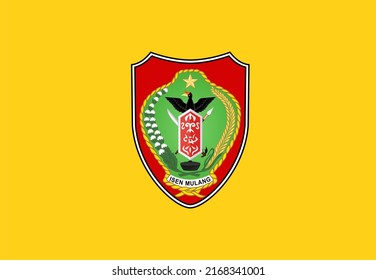 Top View Flag Central Kalimantan Indonesia Stock Illustration ...