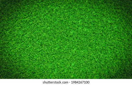 Top View Fresh Green Grass Lawn Stock Illustration 1984267100 ...