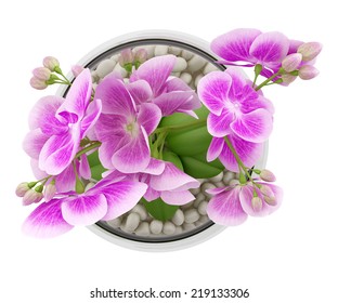 Orchids Vase Images Stock Photos Vectors Shutterstock