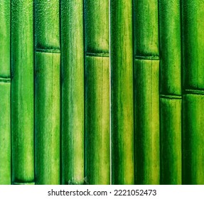 Top View, Soft Blurs Bamboo Dark Green Colour Background Texture Design Blank For Text Or Stock Photo , Illustration, Advertise Product, Gradiant Wall