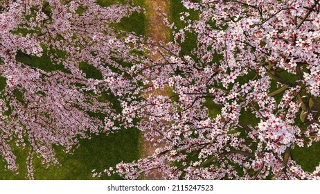 日本 風景 ハイアングル のイラスト素材 画像 ベクター画像 Shutterstock