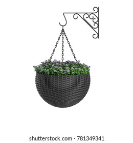 Topiary Plant In The Black Basket Rattan Pot Hanging Plant Isolated On White Background. 3D Rendering, Illustration.