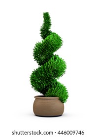Topiary trees in the pot isolated on white background. 3D Rendering, Illustration.