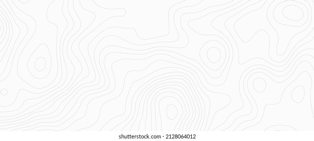 Topographic Background And Texture, Monochrome Image. 3D Waves. Cartography Background, With Black On White Contours  Topography Stylized Height Of The Lines, Abstract Illustration.