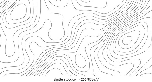 Topographic Map Background Grid Map Vector Stock Illustration ...