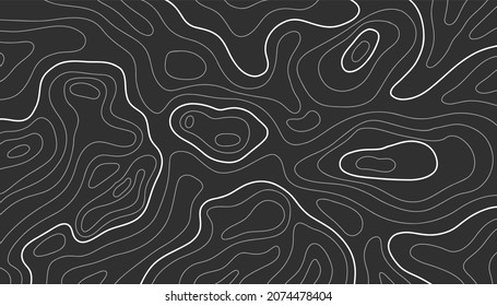 Topographic map lines. Topology outline contour. wavy abstract relief