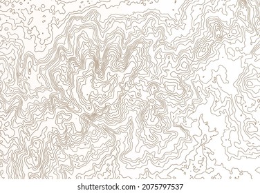 Topographical map on white background