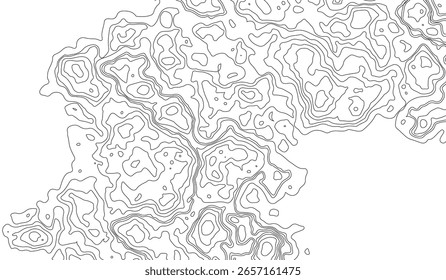 Topography background. Vector banner. Topography map background. Vector geographic contour map. Topography map art curve drawing. vector illustration. wave Line topography map contour background .
