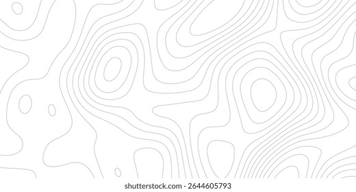Topography white and gery map background- Vector geographic contour map.
