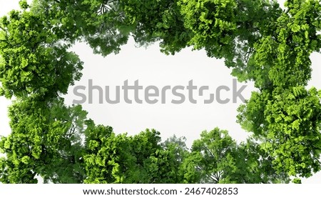 Topview lush forested trees landscape frame border isolated white backgrounds 3d render