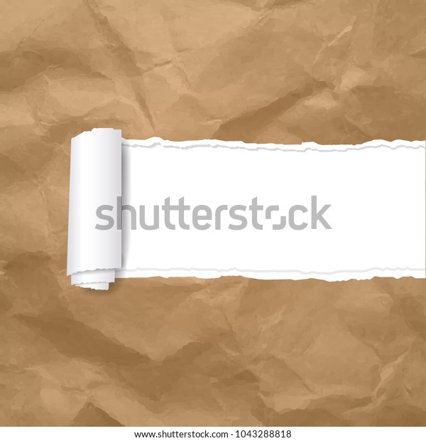 Torn Paper Edge
Transparent Background
