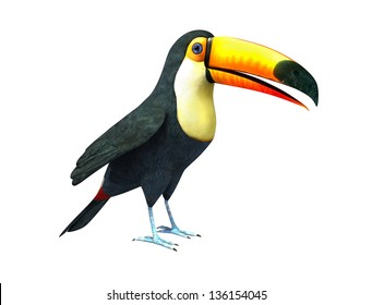 Toucan. Isolated On White Background