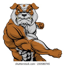 Tough mean muscular bulldog character or sports mascot in a fight punching with fist