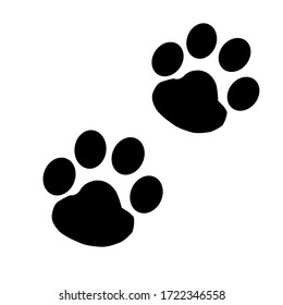 A tracks of black bear.