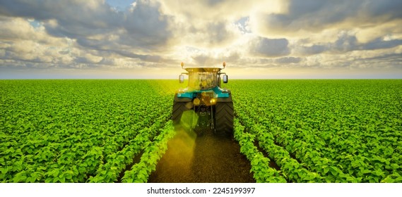Tractor on soybean field at sunset, 3d render