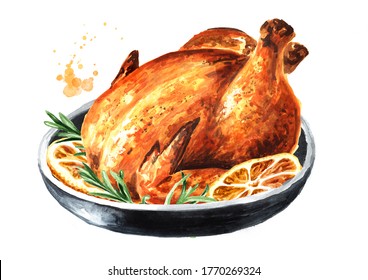 Traditional Christmas or thanksgiving roasted turkey, garnished with orange fruit slices and herbs, Hand drawn watercolor illustration, isolated on white background - Powered by Shutterstock