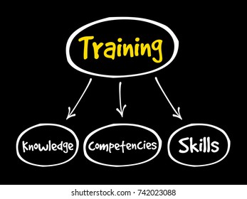 Training components mind map, business concept
