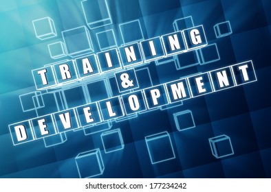 training and development - text in 3d blue glass cubes with white letters, business education concept