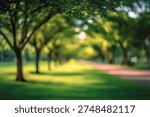 A tranquil park pathway bathed in soft sunlight, with lush green trees forming an archway. The blurred background creates a peaceful and inviting atmosphere.