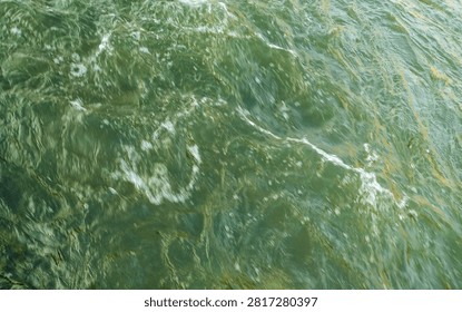 Tranquil Waters

The image captures the serene beauty of flowing water, showcasing a dynamic interplay of light and movement. The water's surface glistens with hues of green, reflecting the natural surroundings. Gentle ripples dance across the surface, creating a sense of calm and tranquility. The texture of the water reveals various shades, indicating depth and the presence of aquatic life beneath. This scene invites the viewer to immerse themselves in the soothing ambiance of nature. The play of light adds a magical quality, transforming a simple moment into an enchanting spectacle. The vibrant yet calming visuals evoke feelings of peace and contemplation, reminding us of nature's artistry.