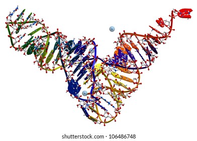 Transfer Ribonucleic Acid Of Yeast. 3D Molecular Structure