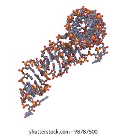 Transfer RNA (tRNA, IletRNA) Molecule, Chemical Structure