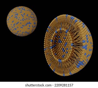 Transferosomes Structure Are Vesicular Carrier Systems That Enclosed By A Lipid Bilayer, Together With An Edge Activator 3d Rendering