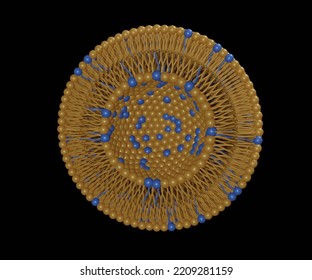 Transferosomes Structure Are Vesicular Carrier Systems That Enclosed By A Lipid Bilayer, Together With An Edge Activator 3d Rendering