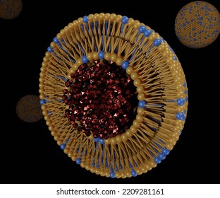 Transferosomes Structure Are Vesicular Carrier Systems That Enclosed By A Lipid Bilayer, Together With An Edge Activator 3d Rendering