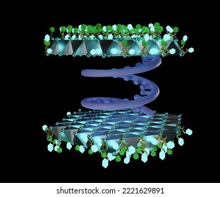 Transferosomes Structure Are Vesicular Carrier Systems That Enclosed By A Lipid Bilayer With DNA Strands Conjugated Molecules 3d Rendering