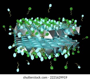 Transferosomes Structure Are Vesicular Carrier Systems That Enclosed By A Lipid Bilayer With Conjugated Molecules 3d Rendering