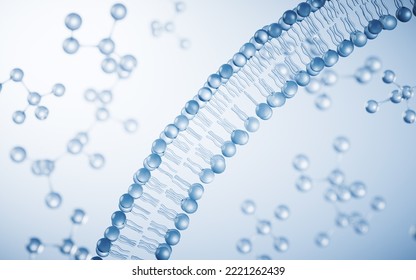 Transparent cytomembrane structure, 3d rendering. Digital drawing.